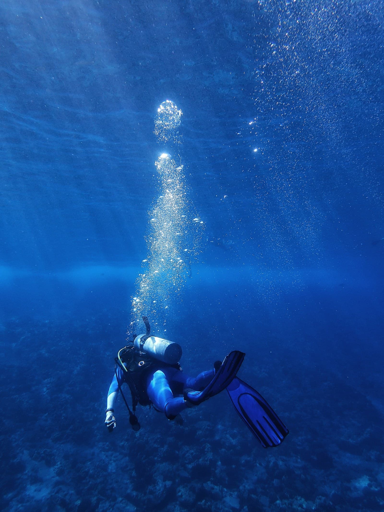 Formation CCR Mixed Gas Diver (60 m) — visuel de la prestation
