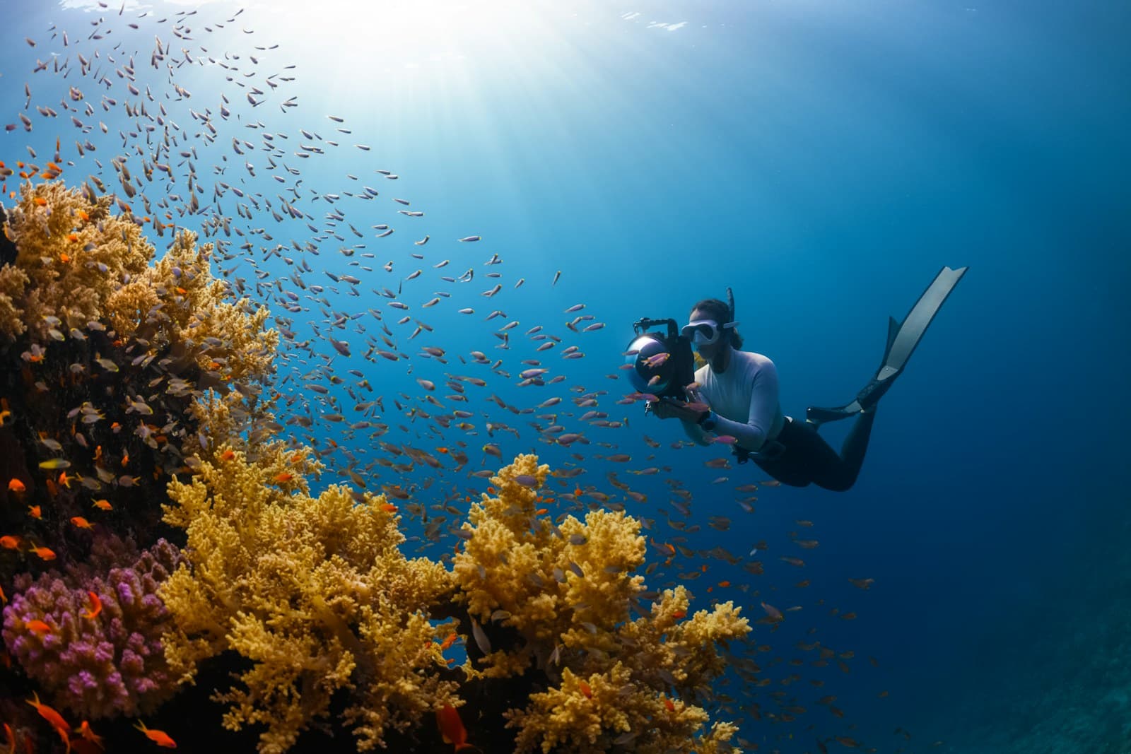 Formation CCR Advanced Mixed Gas Diver (100 m) — visuel de la prestation